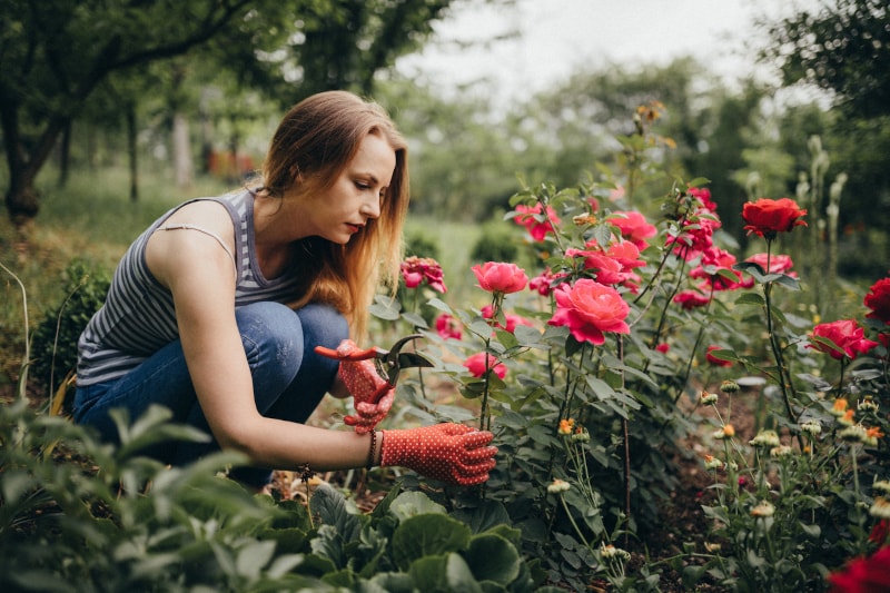 3 HVAC-Friendly Landscaping Tips in Thousand Palms, CA